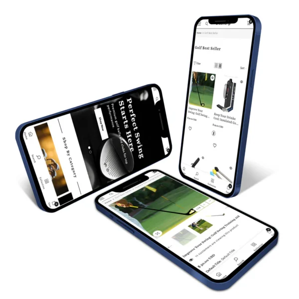 Premium Shopify Store - Image 4